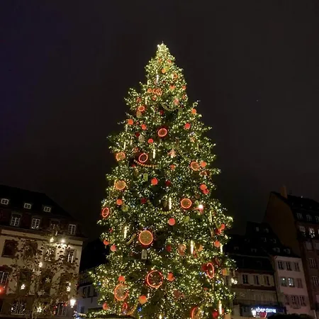 Au Coeur De Strasbourg, Adresse D'exception Strasburgo
